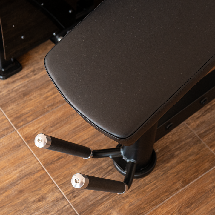 Femoral tumbado | Máquina selectorizada - Compact Series agarres